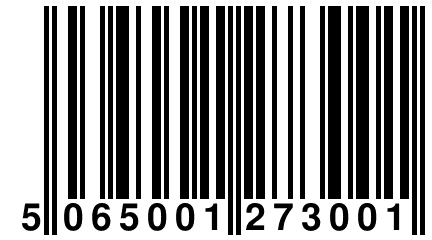 5 065001 273001