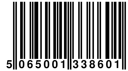 5 065001 338601
