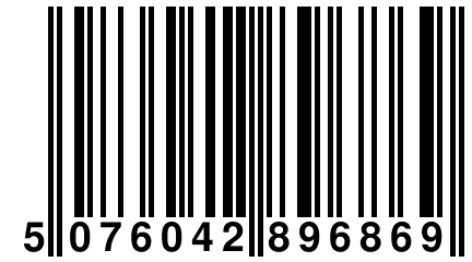 5 076042 896869