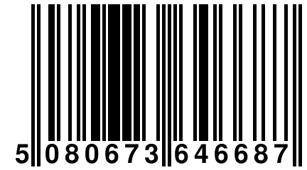 5 080673 646687