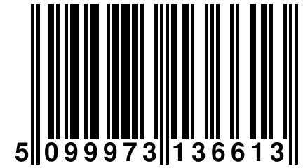 5 099973 136613
