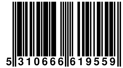 5 310666 619559