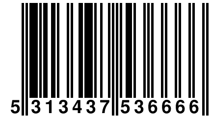 5 313437 536666