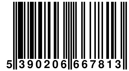 5 390206 667813