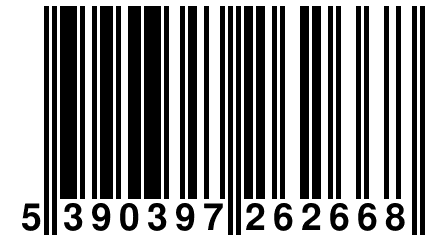 5 390397 262668