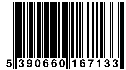 5 390660 167133