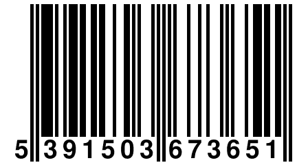 5 391503 673651