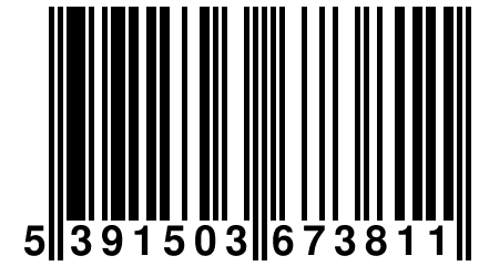 5 391503 673811