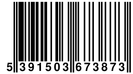 5 391503 673873