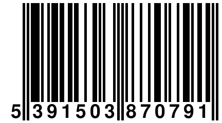 5 391503 870791