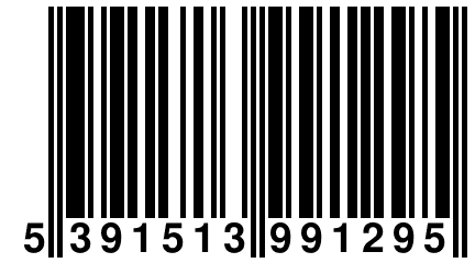 5 391513 991295