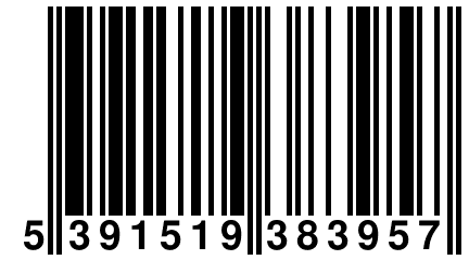 5 391519 383957