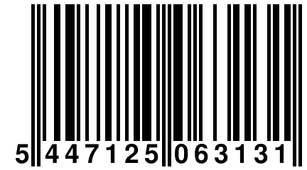 5 447125 063131