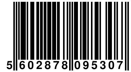 5 602878 095307