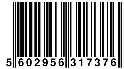 5 602956 317376