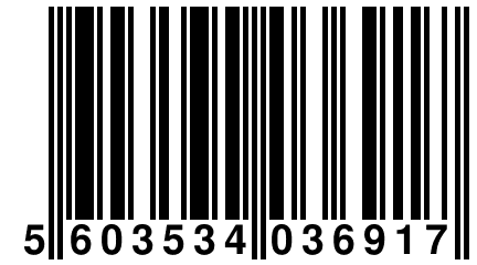 5 603534 036917