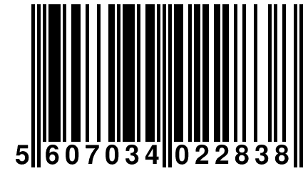 5 607034 022838