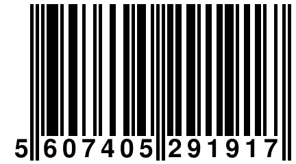 5 607405 291917