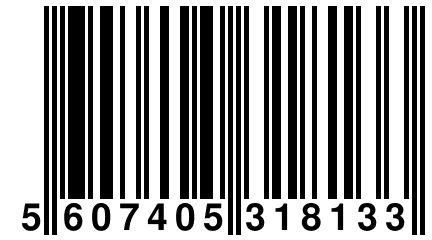 5 607405 318133