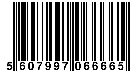 5 607997 066665