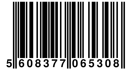 5 608377 065308