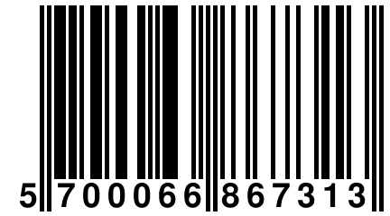 5 700066 867313