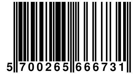 5 700265 666731