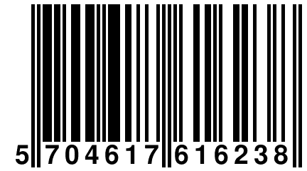 5 704617 616238