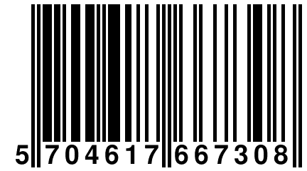 5 704617 667308