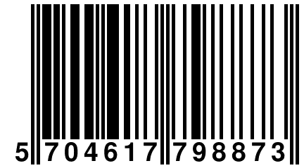 5 704617 798873