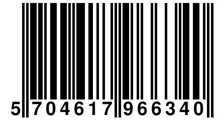 5 704617 966340