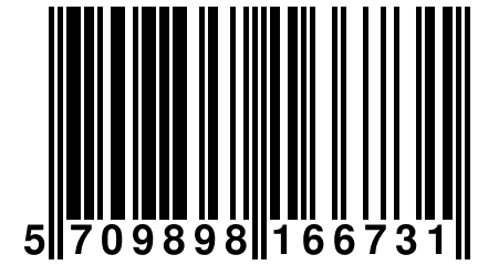 5 709898 166731
