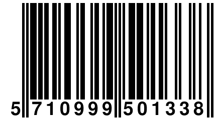 5 710999 501338