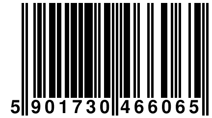 5 901730 466065