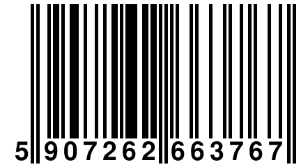 5 907262 663767
