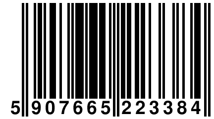 5 907665 223384