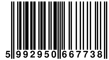 5 992950 667738