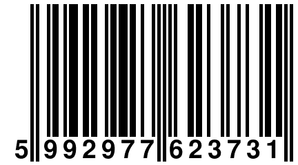 5 992977 623731