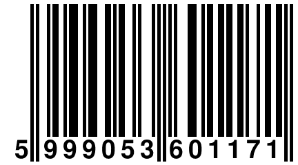 5 999053 601171