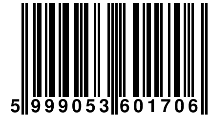 5 999053 601706
