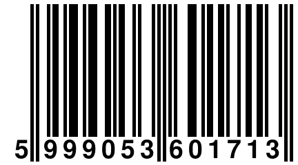 5 999053 601713