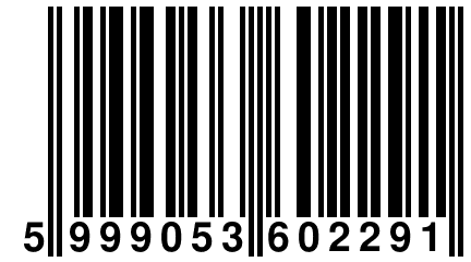 5 999053 602291