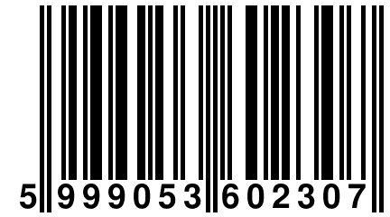 5 999053 602307