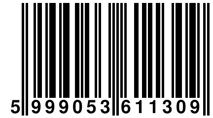 5 999053 611309