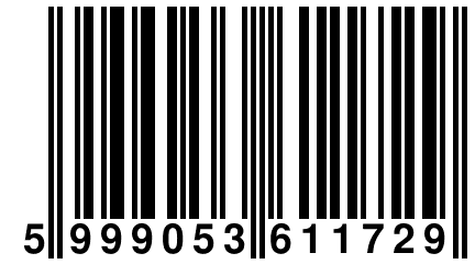 5 999053 611729