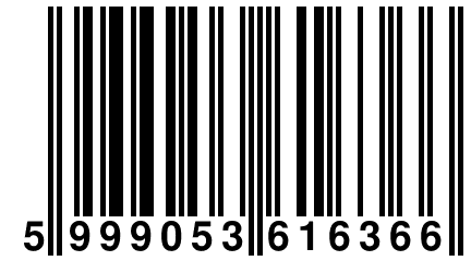 5 999053 616366