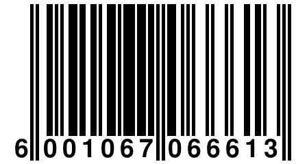 6 001067 066613