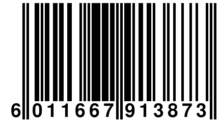 6 011667 913873