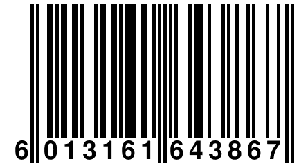 6 013161 643867