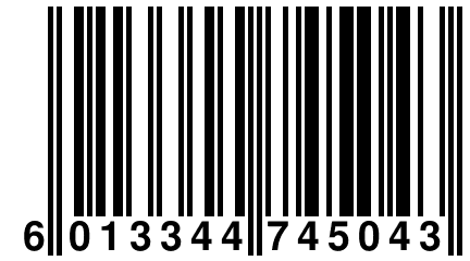 6 013344 745043